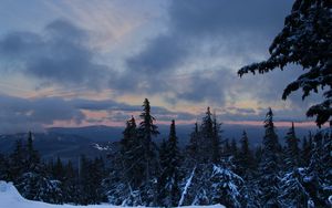 Preview wallpaper forest, snow, trees, winter, mountains, sky, nature