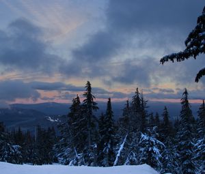 Preview wallpaper forest, snow, trees, winter, mountains, sky, nature