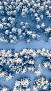 Preview wallpaper forest, snow, winter, aerial view