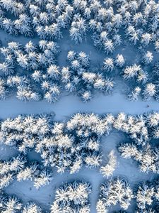 Preview wallpaper forest, snow, winter, aerial view