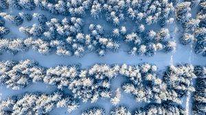 Preview wallpaper forest, snow, winter, aerial view