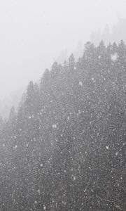 Preview wallpaper forest, snowstorm, bw, winter, snow