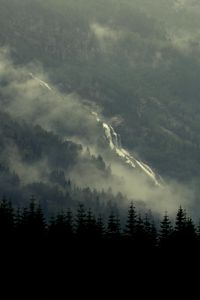 Preview wallpaper forest, spruce, fog, river, trees