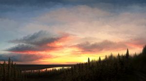 Preview wallpaper forest, spruce, sunset, sky