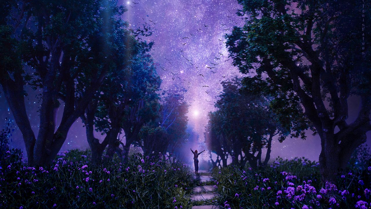 Wallpaper forest, starry sky, art, purple, fabulous