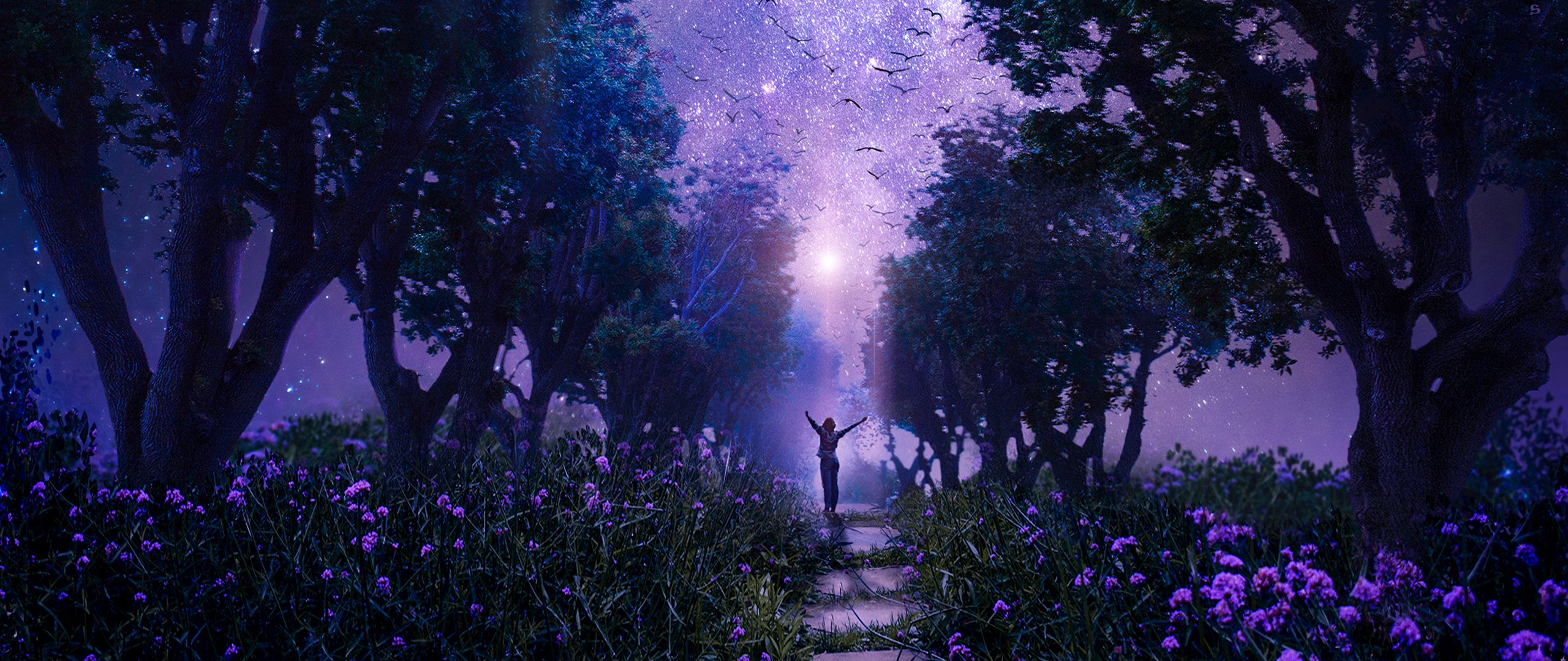 Hình nền rừng đêm tím: Hình nền rừng đêm tím đầy ấn tượng mô tả một không gian hoang dã nhưng cũng thật bí mật. Hãy tận hưởng cuộc phiêu lưu của bạn với hình nền đẹp này trên thiết bị của mình.