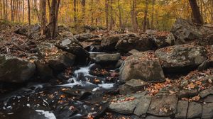 Preview wallpaper forest, stream, stones, autumn, nature