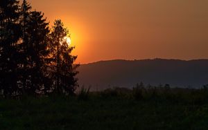 Preview wallpaper forest, sun, sunset, hill, grass