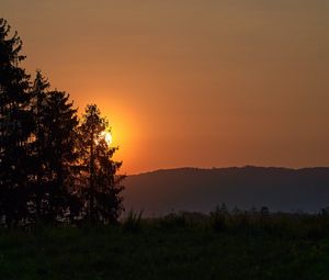 Preview wallpaper forest, sun, sunset, hill, grass