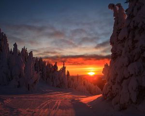 Preview wallpaper forest, sunset, winter, landscape, slope, snowy