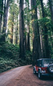 Preview wallpaper forest, suv, trees, road