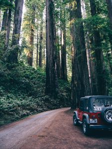Preview wallpaper forest, suv, trees, road