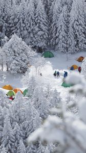 Preview wallpaper forest, tents, camping, snow, winter