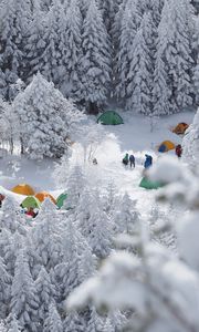 Preview wallpaper forest, tents, camping, snow, winter