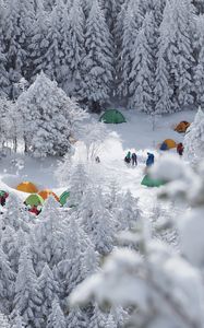 Preview wallpaper forest, tents, camping, snow, winter