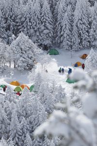 Preview wallpaper forest, tents, camping, snow, winter