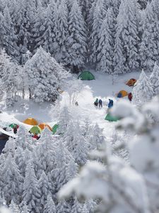 Preview wallpaper forest, tents, camping, snow, winter