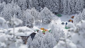 Preview wallpaper forest, tents, camping, snow, winter