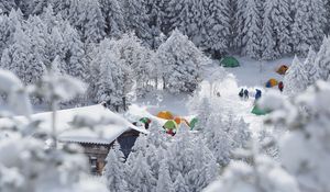 Preview wallpaper forest, tents, camping, snow, winter