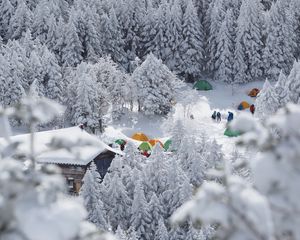 Preview wallpaper forest, tents, camping, snow, winter