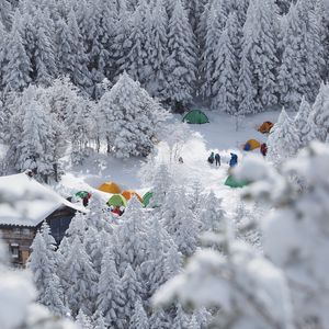 Preview wallpaper forest, tents, camping, snow, winter