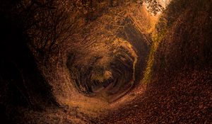 Preview wallpaper forest, trail, autumn, rotation, swirling