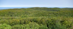 Preview wallpaper forest, trees, aerial view, nature, landscape