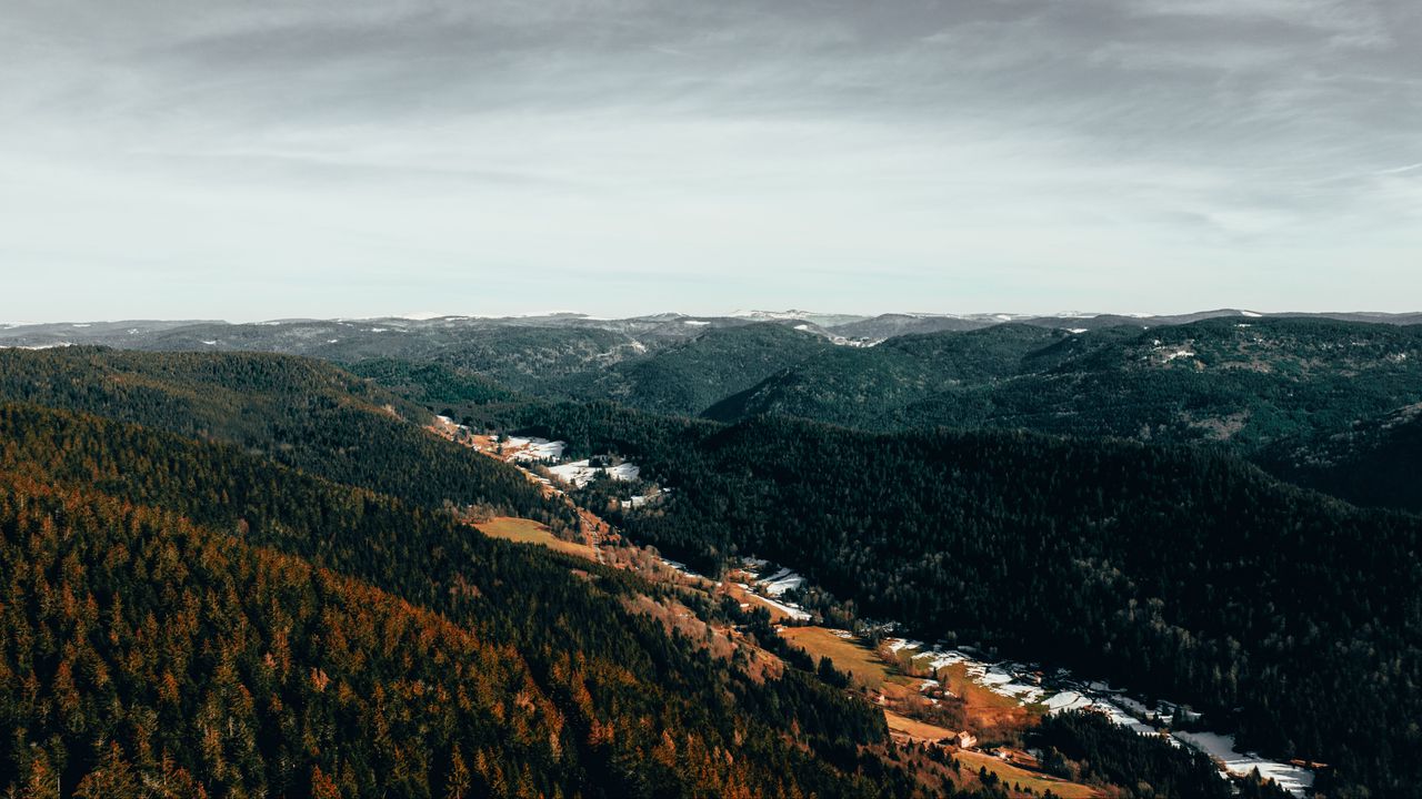 Wallpaper forest, trees, aerial view, autumn, sky