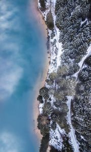 Preview wallpaper forest, trees, aerial view, ice, snow, winter, fog