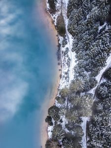 Preview wallpaper forest, trees, aerial view, ice, snow, winter, fog