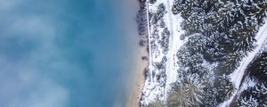 Preview wallpaper forest, trees, aerial view, ice, snow, winter, fog