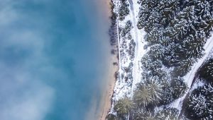 Preview wallpaper forest, trees, aerial view, ice, snow, winter, fog