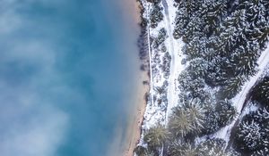 Preview wallpaper forest, trees, aerial view, ice, snow, winter, fog