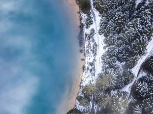 Preview wallpaper forest, trees, aerial view, ice, snow, winter, fog