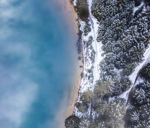 Preview wallpaper forest, trees, aerial view, ice, snow, winter, fog