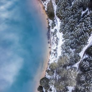 Preview wallpaper forest, trees, aerial view, ice, snow, winter, fog