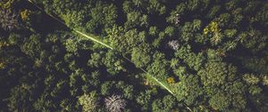 Preview wallpaper forest, trees, aerial view, road