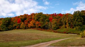 Preview wallpaper forest, trees, autumn, meadow, landscape, nature