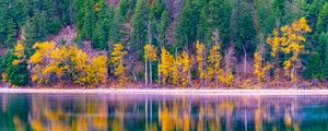 Preview wallpaper forest, trees, autumn, lake, reflection, nature