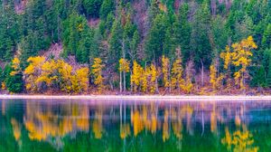 Preview wallpaper forest, trees, autumn, lake, reflection, nature