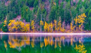 Preview wallpaper forest, trees, autumn, lake, reflection, nature