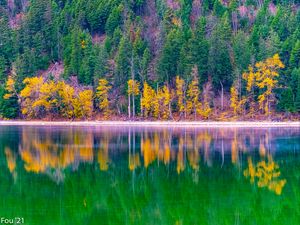 Preview wallpaper forest, trees, autumn, lake, reflection, nature