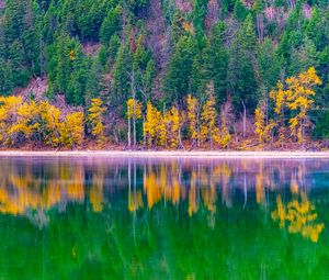 Preview wallpaper forest, trees, autumn, lake, reflection, nature