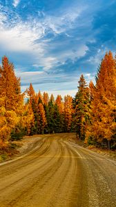 Preview wallpaper forest, trees, autumn, road, nature