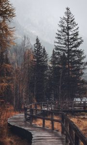 Preview wallpaper forest, trees, bridge, autumn
