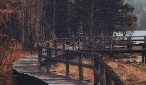 Preview wallpaper forest, trees, bridge, autumn