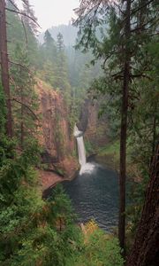 Preview wallpaper forest, trees, cliff, waterfall, landscape, nature