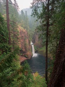 Preview wallpaper forest, trees, cliff, waterfall, landscape, nature