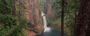 Preview wallpaper forest, trees, cliff, waterfall, landscape, nature