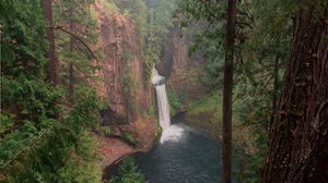 Preview wallpaper forest, trees, cliff, waterfall, landscape, nature